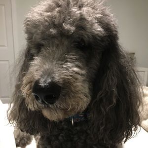 Meet your Posher, Kim